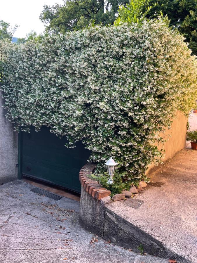 罗伊Casa Monia公寓 外观 照片